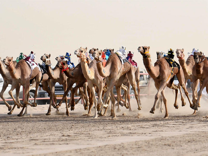 إحدى جولات السباق