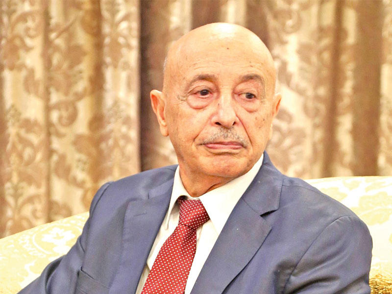 رئيس مجلس النواب الليبي عقيلة صالح