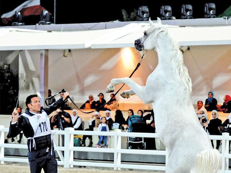 جانب من استعراض الخيول