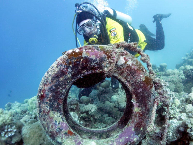 فريق الغوص يعاين مواقع الشعاب المرجانية