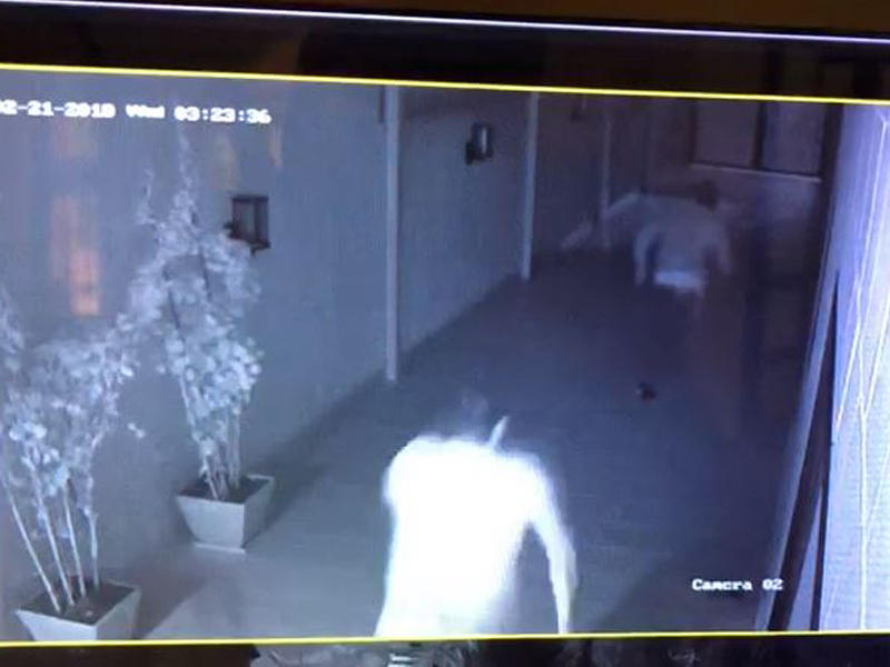 صورة ڤيديو تكشف مطاردة الموطن للص في منزله