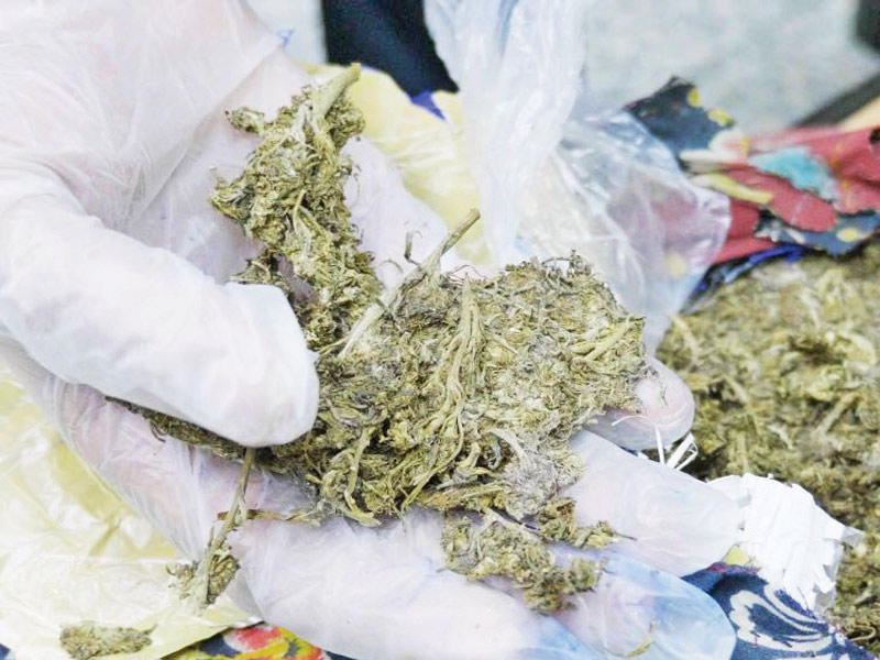 المخدرات المضبوطة