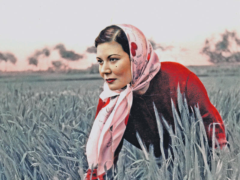 الفنانة راقية إبراهيم n