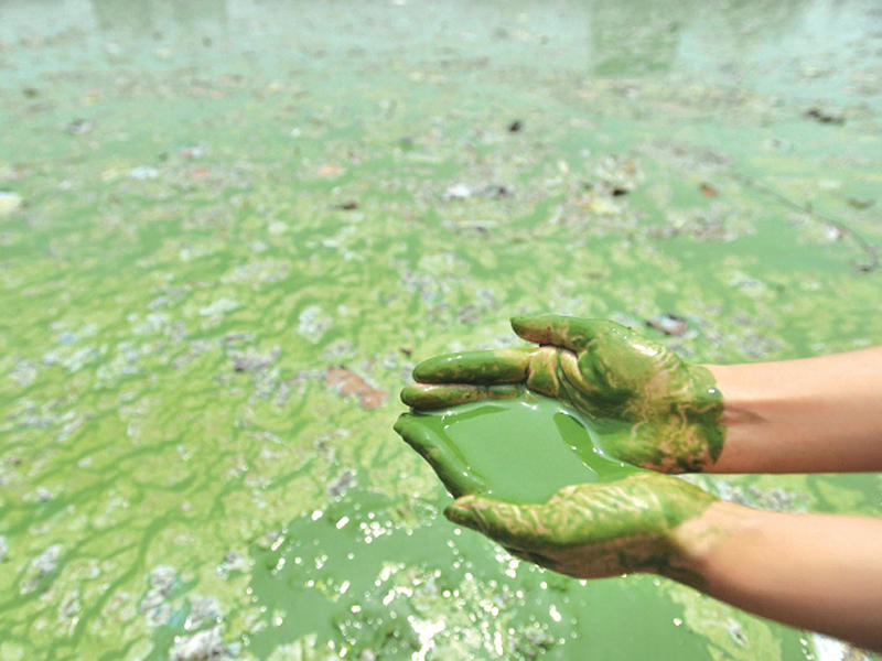 مياه شديدة التلوث في الصين