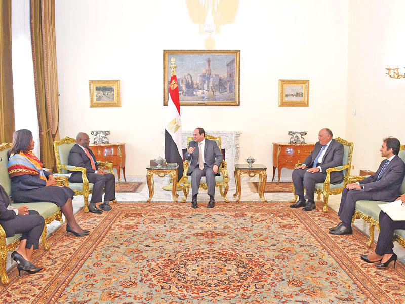 السيسي مستقبلاً وزير الخارجية النيجيري السابق إبراهيم غمباري في القاهرة أمسt(د ب أ)