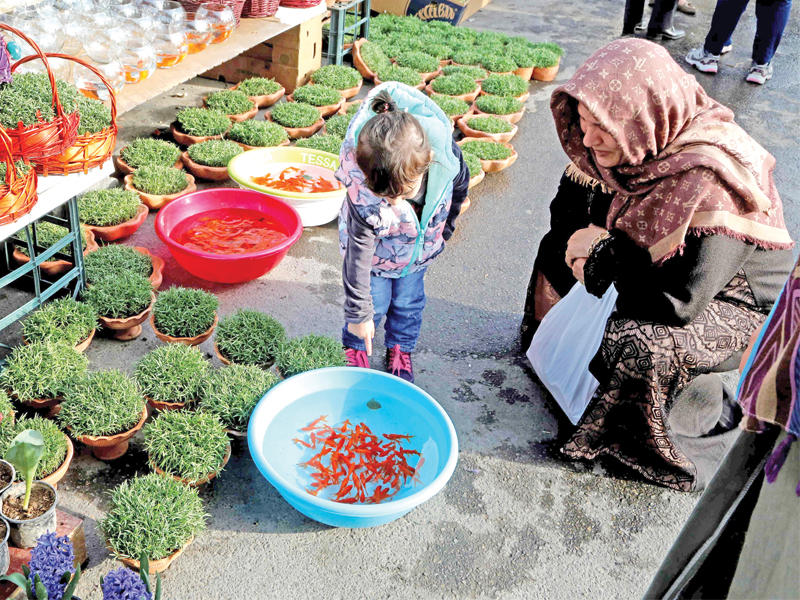 إيرانيون يشترون أمس في طهران أسماكاً صغيرة ونباتات استعدادا لعيد النيروز الفارسي (أ ف ب)