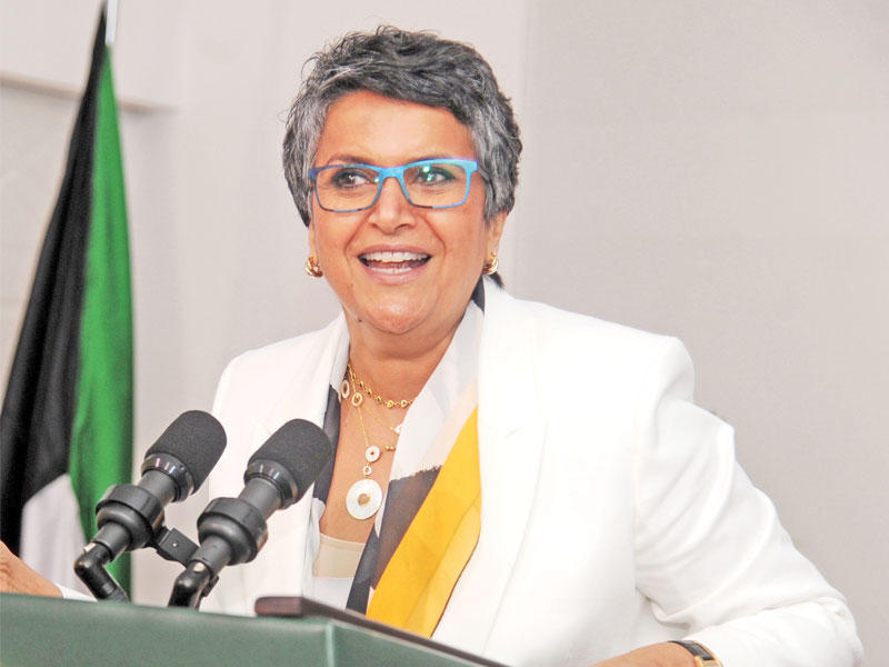 النائبة صفاء الهاشم