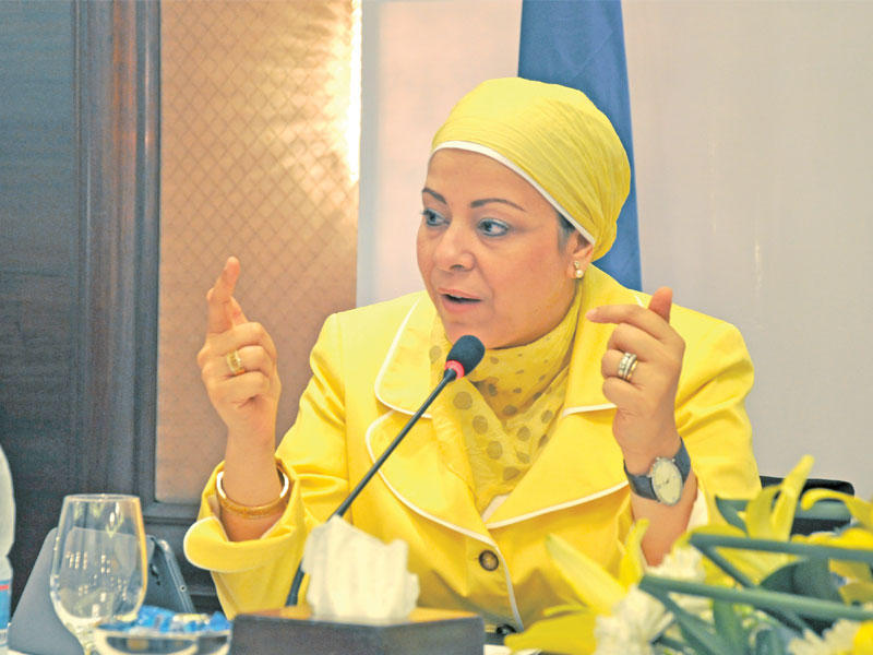 نهاد أبو القمصان الناشطة النسائية رئيسة المركز المصري لحقوق المرأة