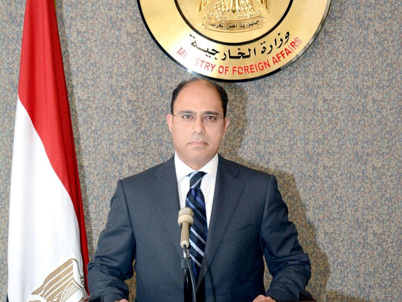 المتحدث باسم الخارجية المصرية، أحمد أبوزيد