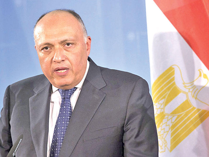  وزير الخارجية المصري سامح شكري