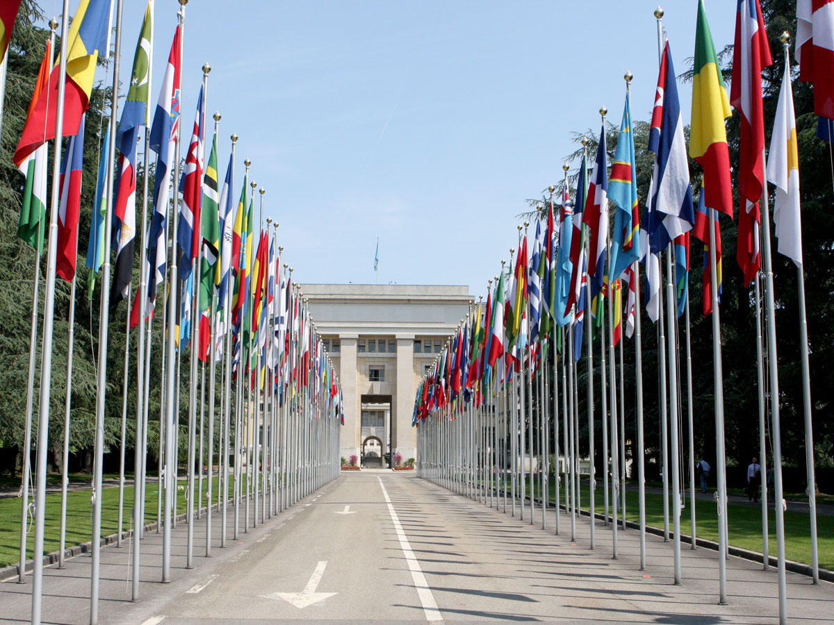 الأمم المتحدة