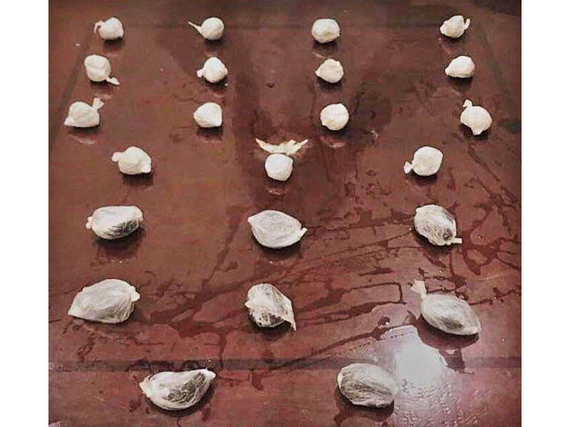 المخدرات بعد إخراجها من أمعاء الإيراني