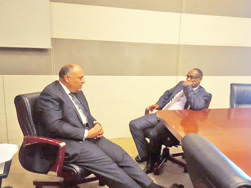 شكري وأحمد خلال لقائهما في أديس أباباt(الجريدة)