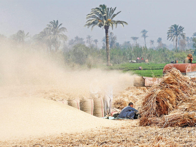 فلاح مصري في المنيا (رويترز)