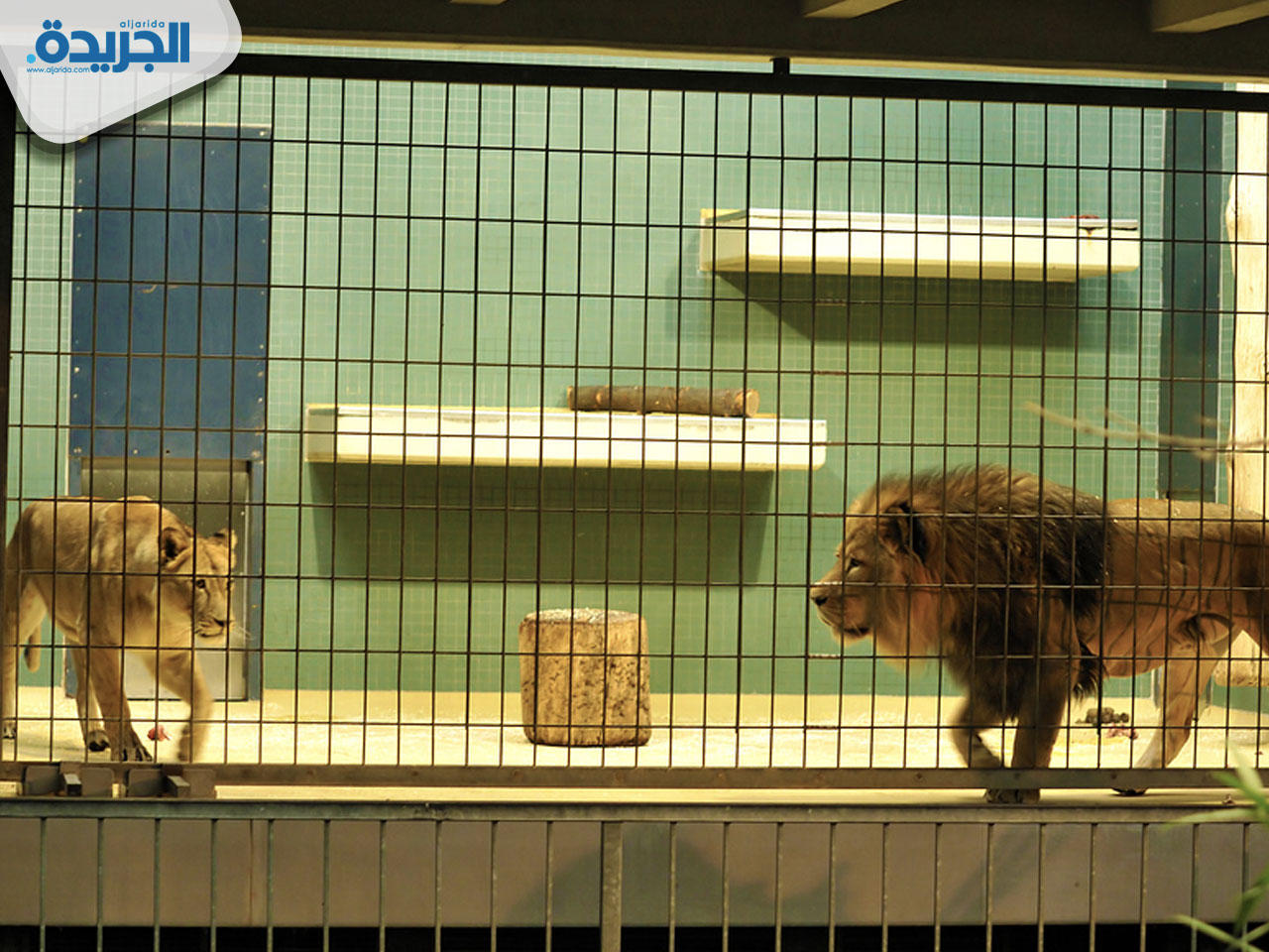 حديقة حيوان برلين