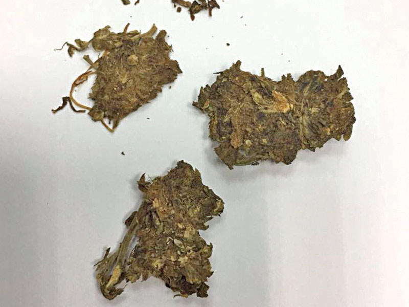 الماريغوانا المضبوطة