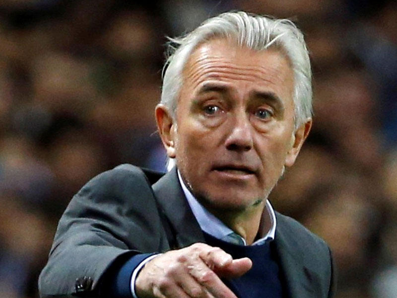 بيرت فان مارفيك