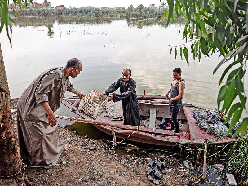 صيادو أسماك مصريون أمس في «البحر الفرعوني»، وهو أسم لبحيرة كبيرة في المنوفية تبلغ مساحتها 2500 فدان وتطل عليها 50 قرية (أ ف ب)