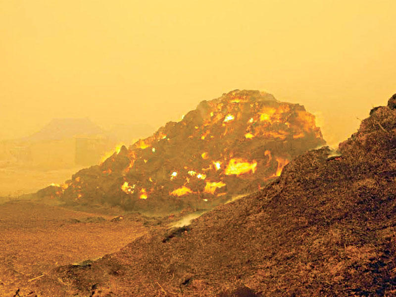 النيران تلتهم سوق الأعلاف