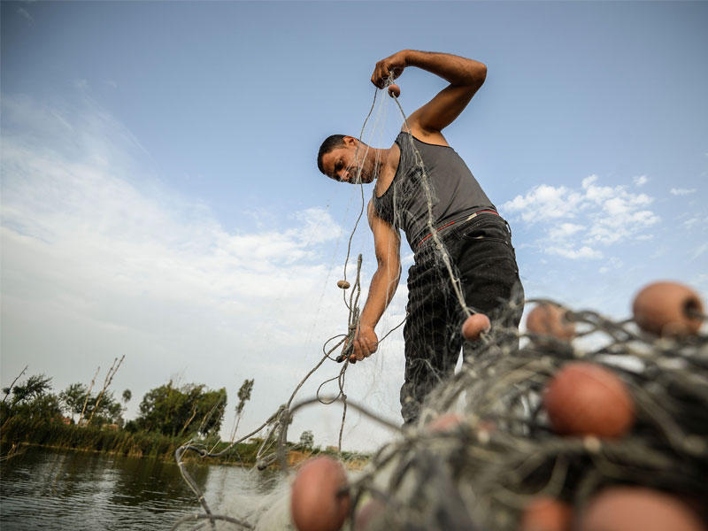 صياد مصري يعتلي شباكًا على قاربه في مياه بحر فرعون في قرية كفر الشيخ
