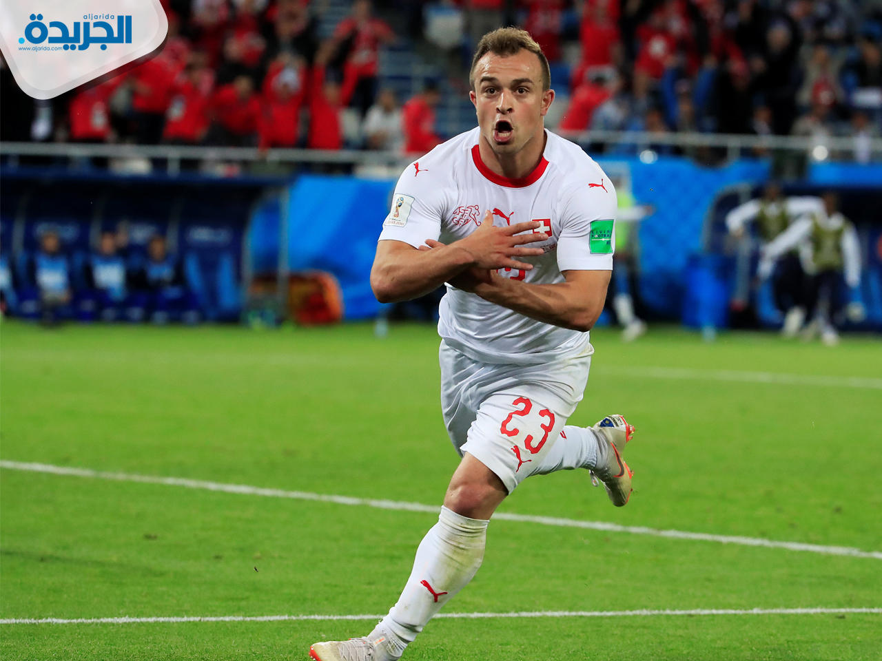 شيردان شاكيري