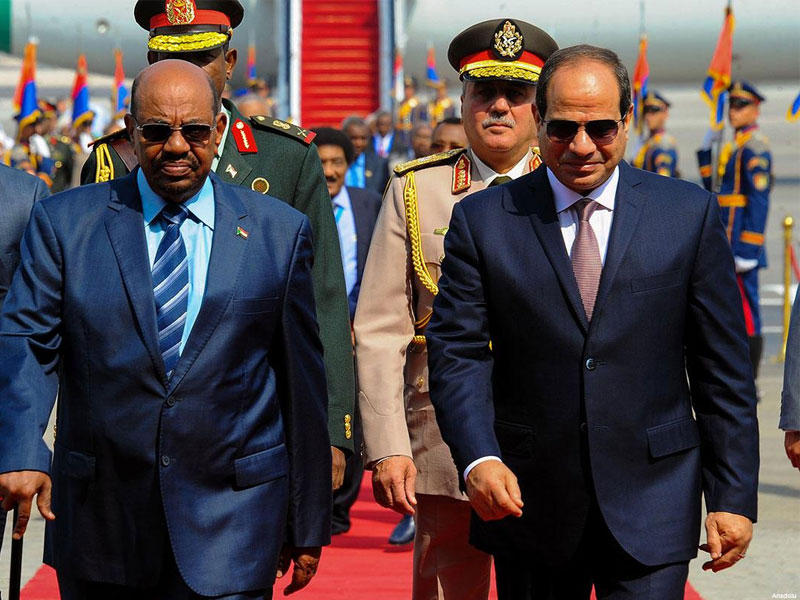 الرئيس عبدالفتاح السيسي 