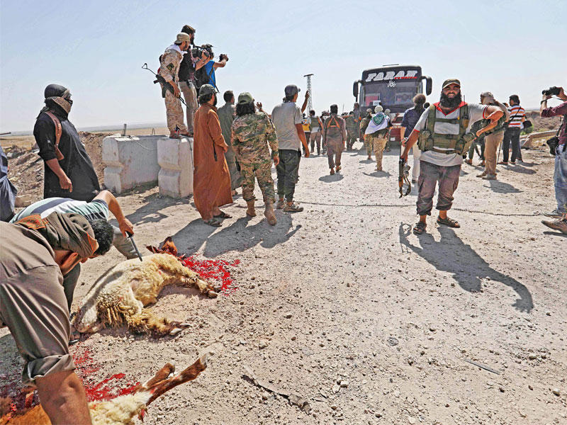 مقاتلون يذبحون احتفالاً بعودة المعتقلين من سجون النظام عند نقطة عبور العيس جنوب حلب أمسt (أ ف ب)