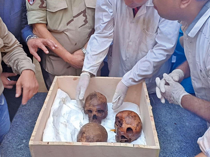الجماجم التي عُثر عليها داخل التابوتn