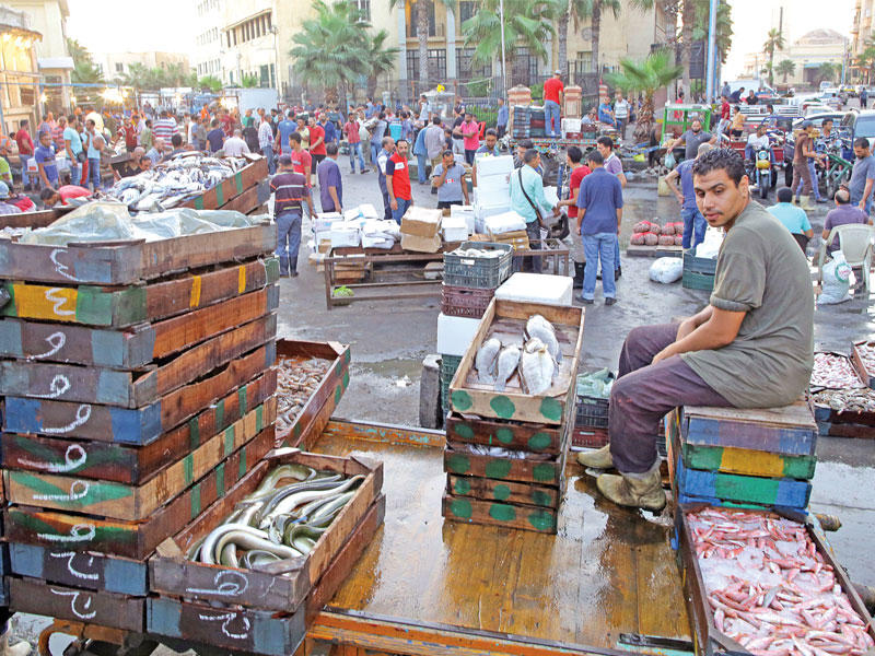 بائع يعرض أسماكه في سوق الأسماك بالإسكندرية أمسt(أي بي ايه)