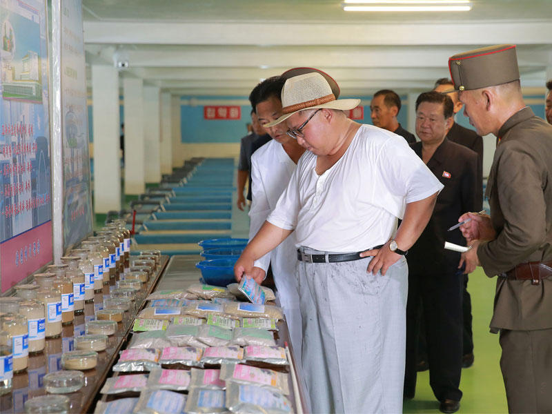 الزعيم الكوري الشمالي كيم جونغ أون في مصنع سمك السلور