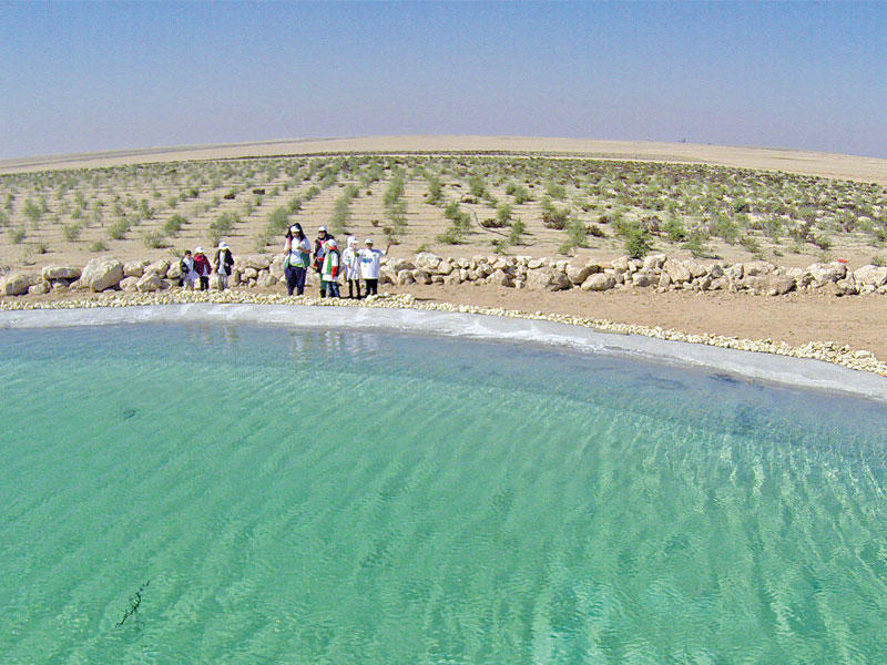 منظر من الأعلى للبحيرة