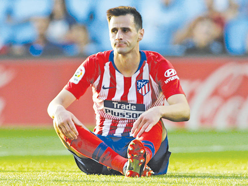 نيكولا كالينيتش