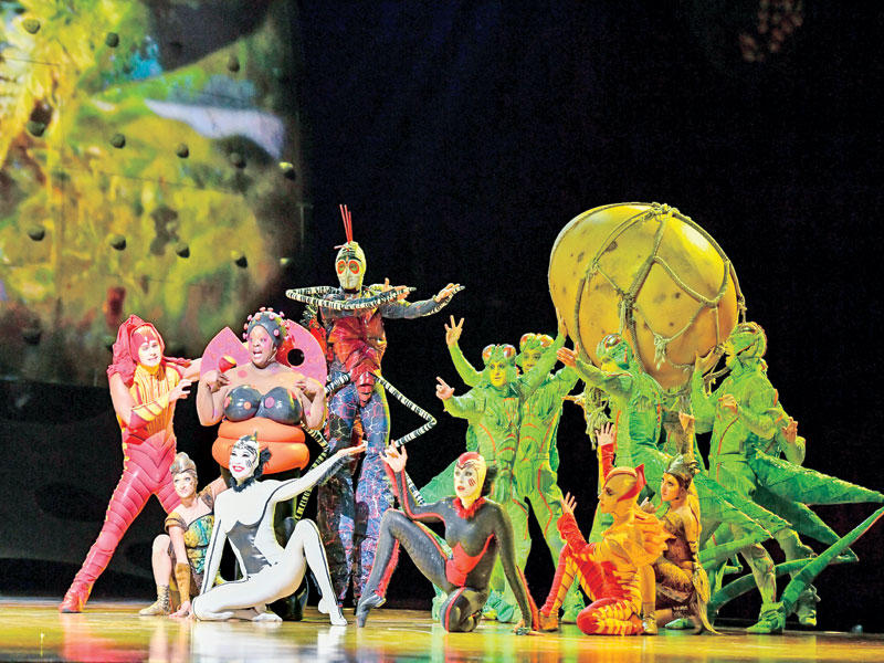 فرقة سيرك دو سوليي