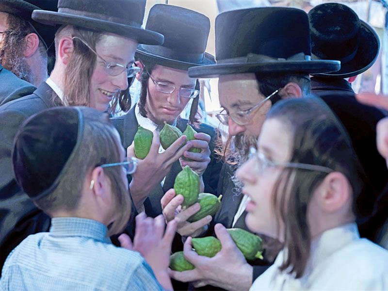 يهود ارثوذكس يستعدون للاحتفال بعيد العرش في القدس أمس (أي بي أيه)