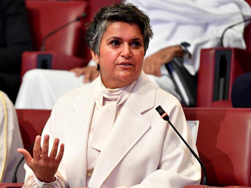 النائبة صفاء الهاشم