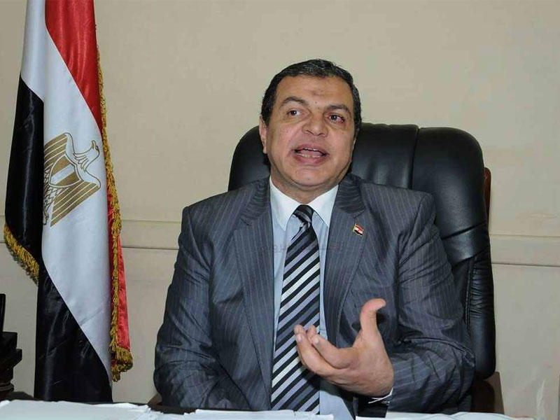 وزير القوى العاملة المصري محمد سعفان