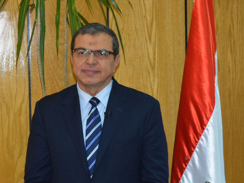 وزير القوى العاملة المصري محمد سعفان