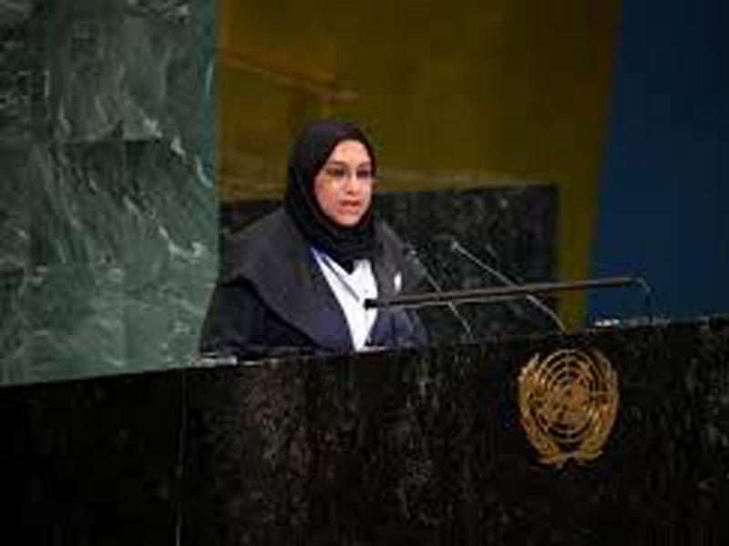 وفد الكويت الدائم لدى الأمم المتحدة أمام الجمعية العامة للأمم المتحدة، المستشارة تهاني الناصر