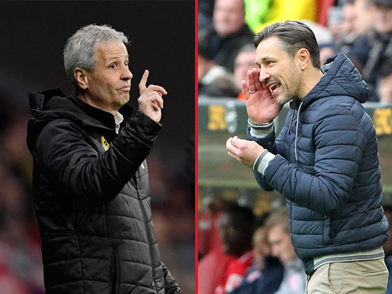 كوفاتش و فافري