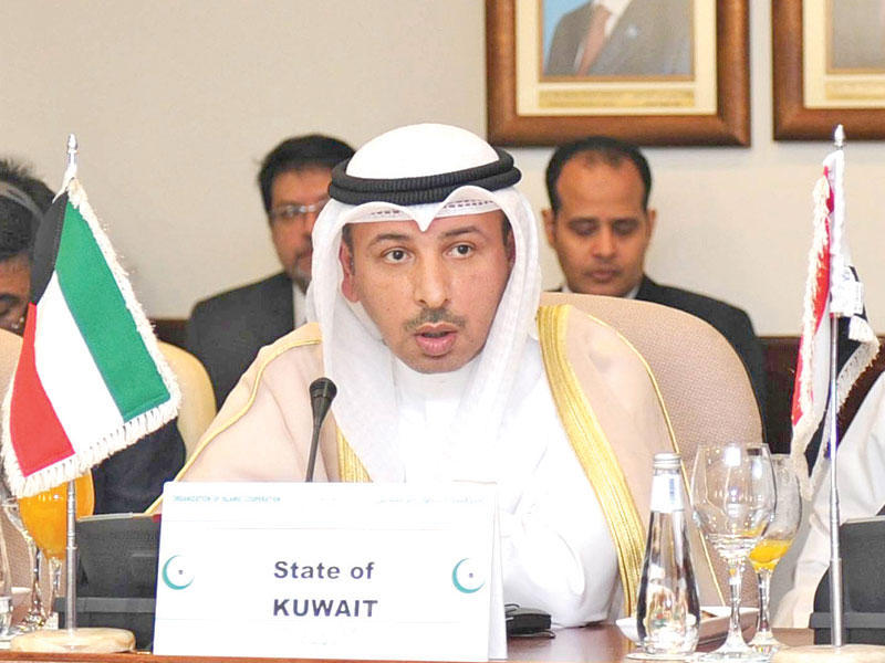 مساعد وزير الخارجية لشؤون المنظمات الدولية السفير ناصر الهين