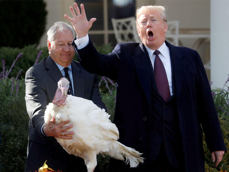  ترامب يعفو عن الديك الرومي «بيز» لمناسبة عيد الشكر في حديقة البيت الأبيض أمس الأول (رويترز)