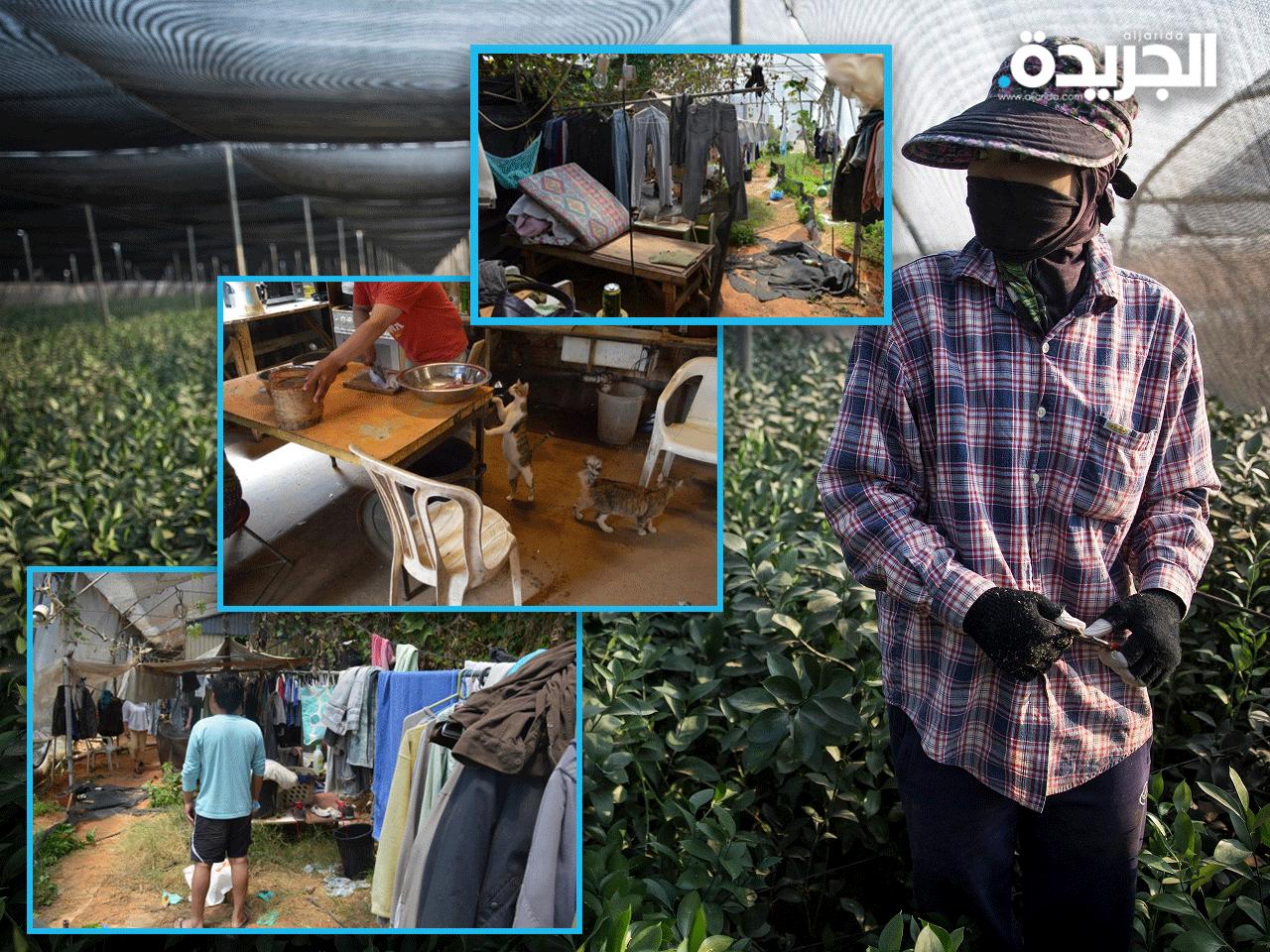 صور توضح ظروف المزارعين التايلنديين