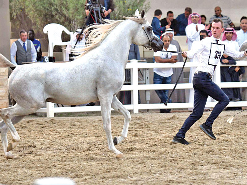 جانب من استعراض اليوم الختامي