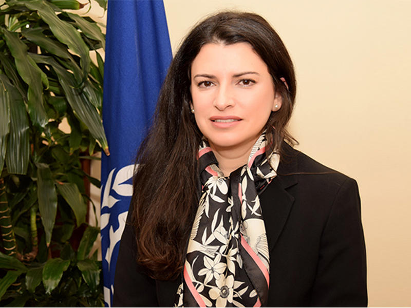 المديرة الإقليمية للدول العربية في منظمة العمل الدولية د. ربا جرادات