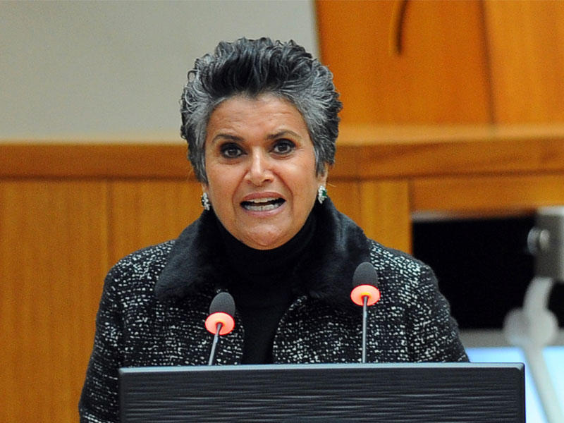 النائبة صفاء الهاشم