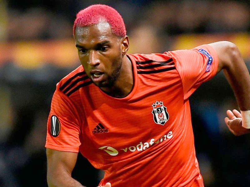 المهاجم الدولي الهولندي راين بابل