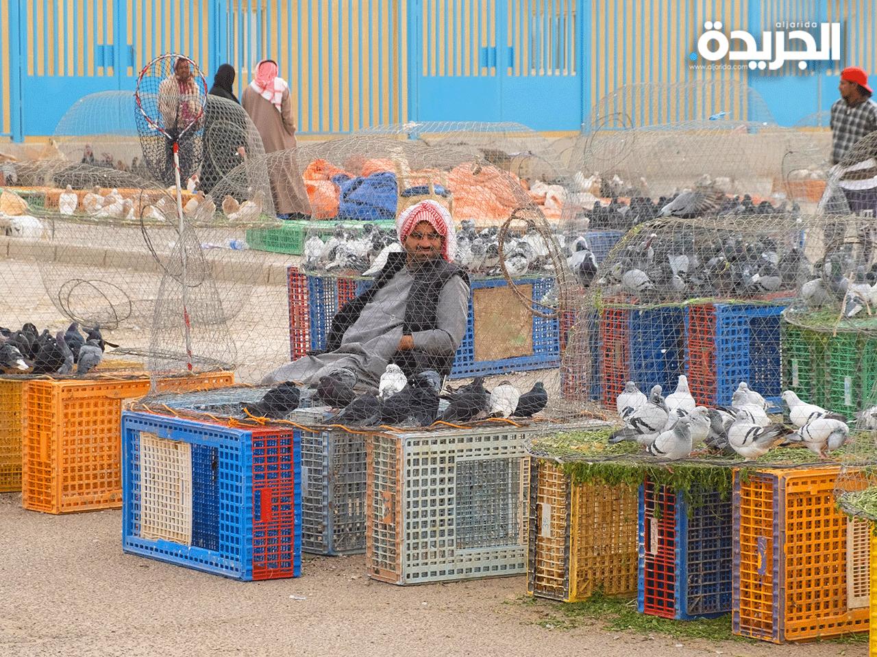  عرض الطيور باقفاص لا تناسبها 