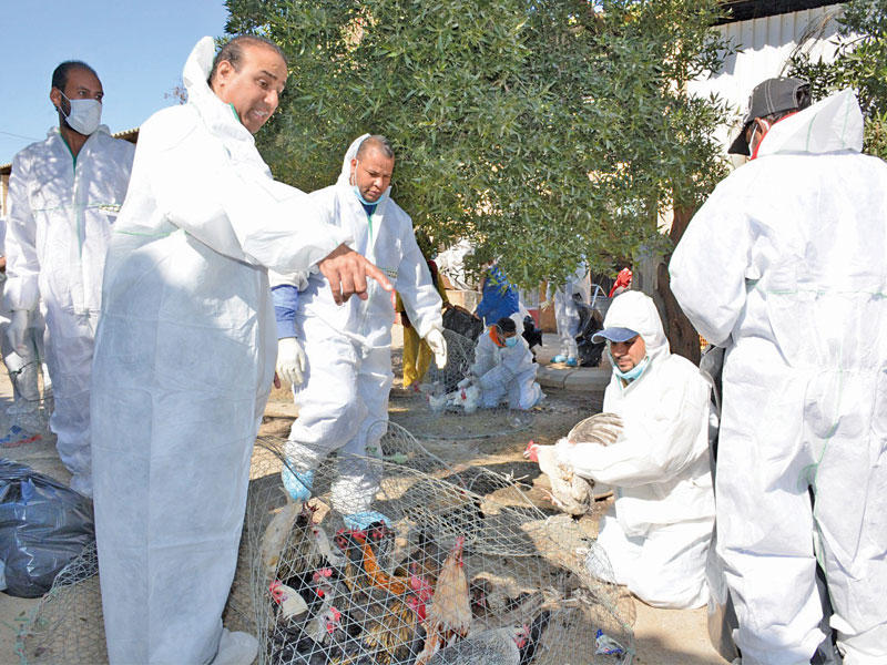 جانب من الحملة على سوق الطيور