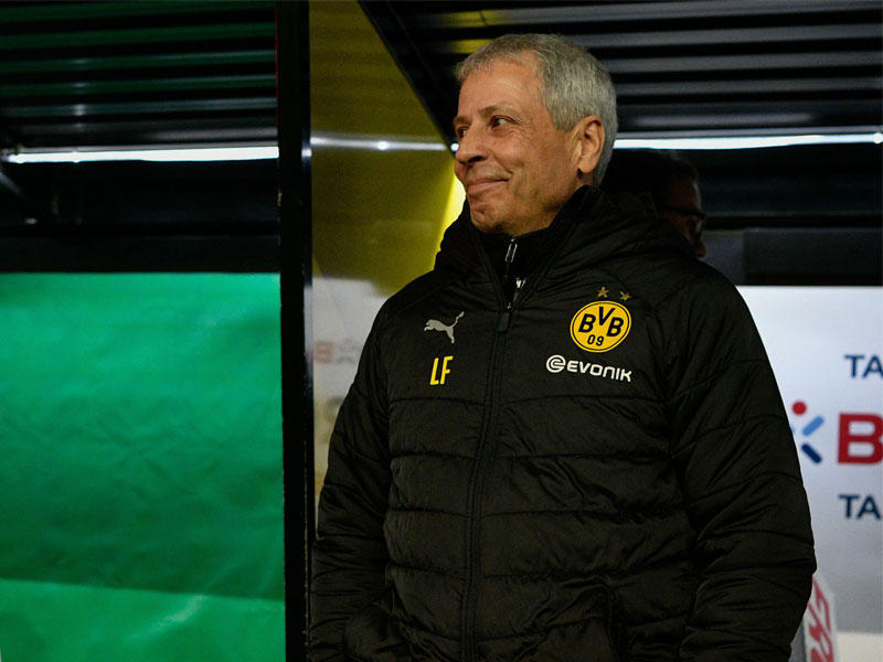 لوسيان فافري