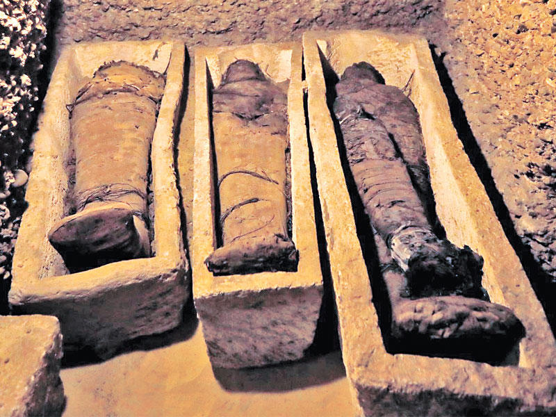 جانب من المومياوات المكتشفةn